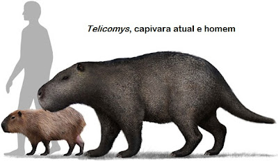 carpincho gigante prehistorico Telicomys