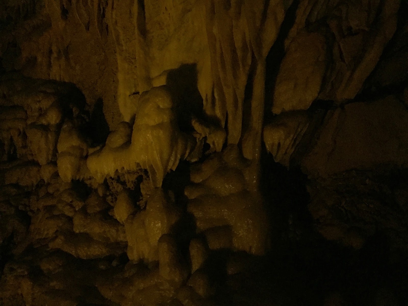 Travel Reviews & Information: Mammoth Cave, Kentucky ...