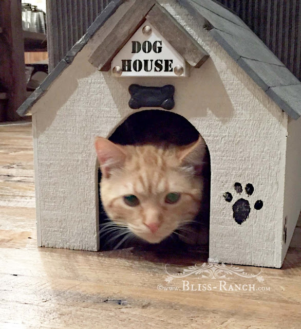 Bliss Ranch Stuffed Dog House