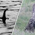 Monstro do Lago Ness é finalmente flagrado? Homem tira foto de criatura semelhante a Dinossauro na Escócia!