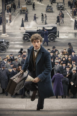 Fantastic Beasts and Where to Find Them Eddie Redmayne Photo