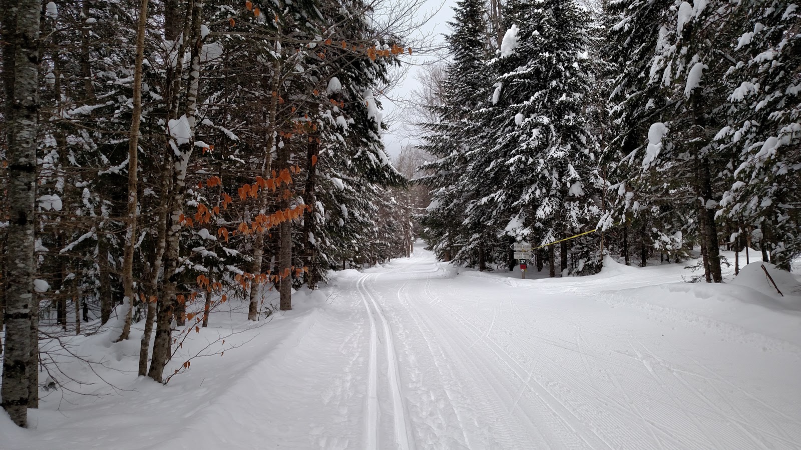 The Journey... Lake Placid Loppet