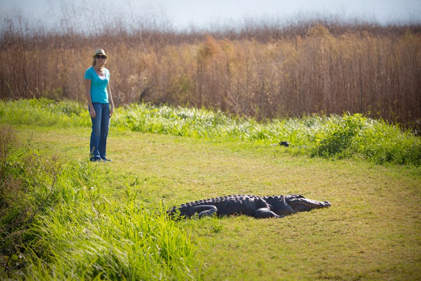Gator Paths Go, Do, Live!