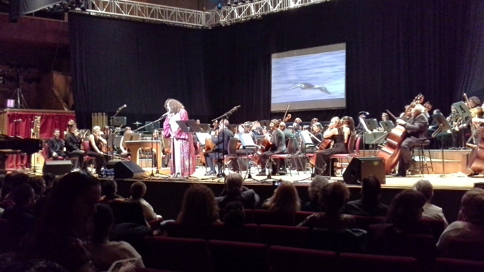 Patricia Cori and the Royal Philharmonic Concert Orchestra