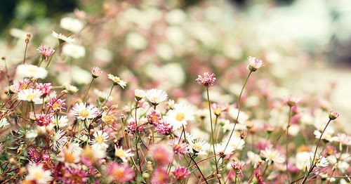 Nature: Conserve, Share & Care