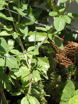 Uniquely ella: August 2015