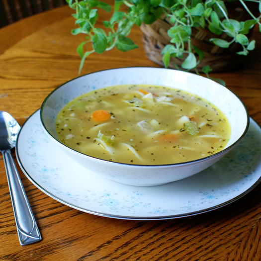 Quick and Easy Chicken Noodle Soup with fresh carrots, celery and onions