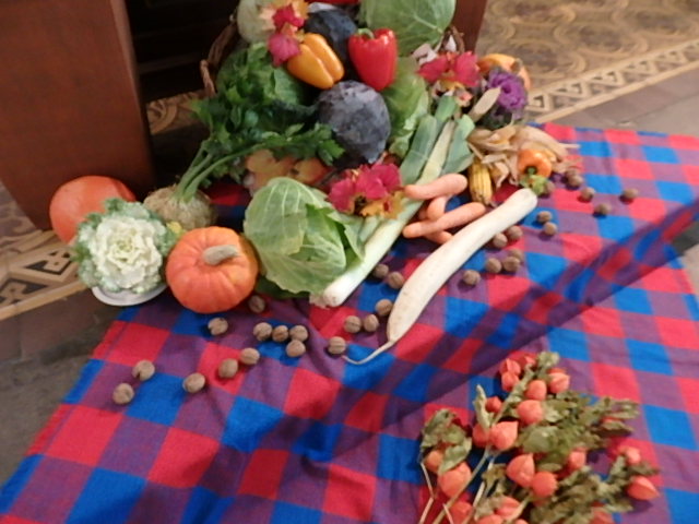 Moose Around The World Der Reiseblog Von Anke Thorsten Schops