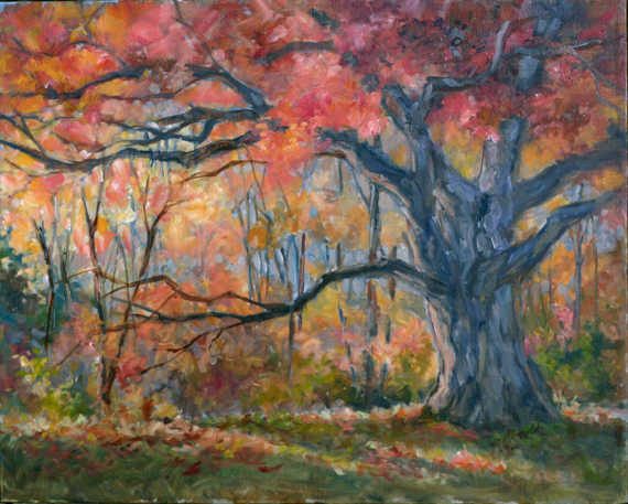 Carlene Dingman Atwater Lone Tree In Fall