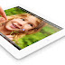 iPad 4 Ultimate, Νέο μοντέλο με χωρητικότητα 128GB;