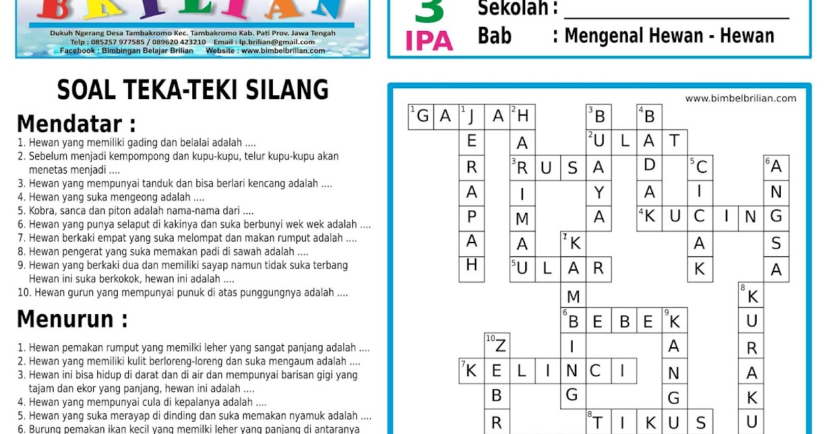 Kunci Jawaban Tts Bahasa Jawa Kelas 7 Jejak Soal