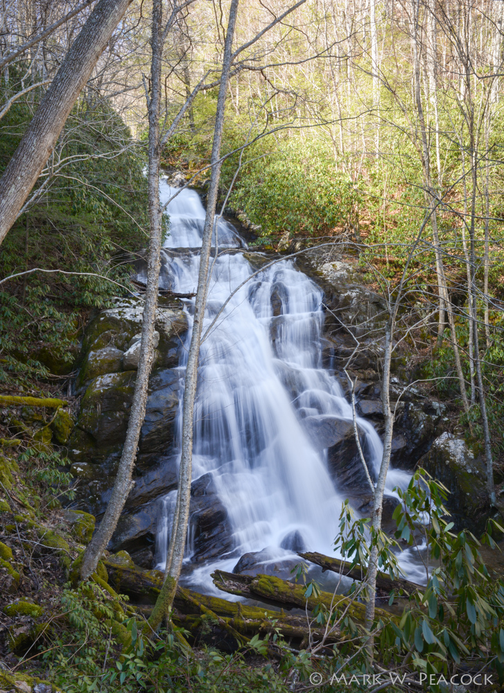 Appalachian Treks Changes to Lower Higgins Creek