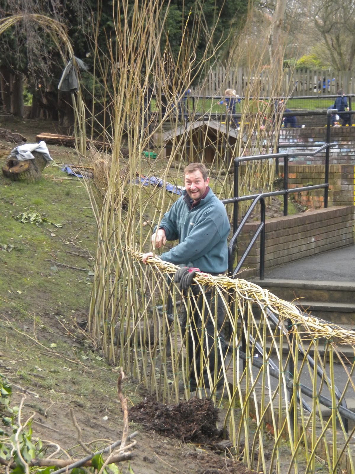 growing health by design willow weaving