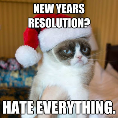 2017 Happy New Year Cat Memes 2017 Happy New Year Cat Memes