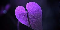 I Learned Something New Every Day as an Alzheimer's Caregiver The importance of learning in Alzheimer's and dementia care.