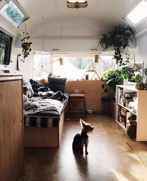natural wood, pattern, and a lot of plants filled this vintage airstream