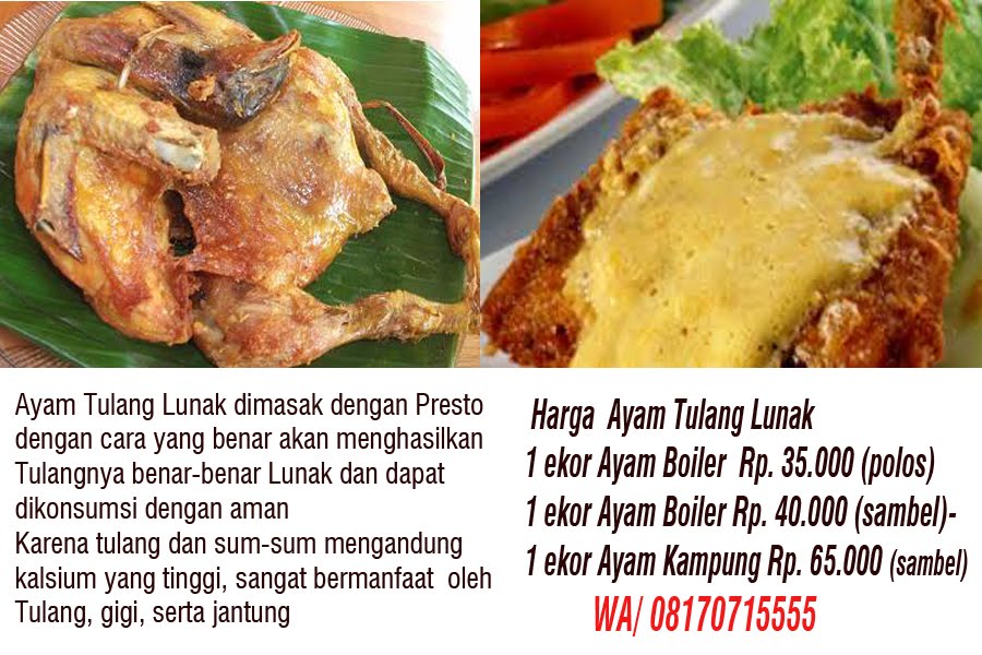 AYAM TULANG LUNAK