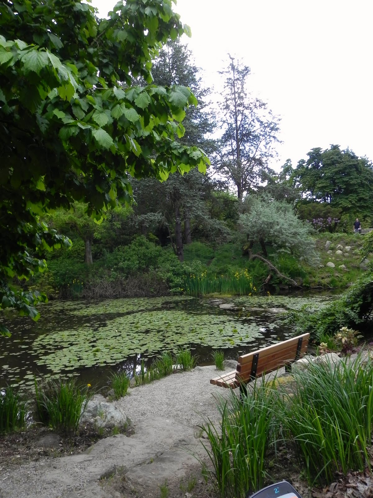 AccessEco BC Van Dusen Gardens growing more accessible