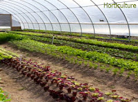 horticulture