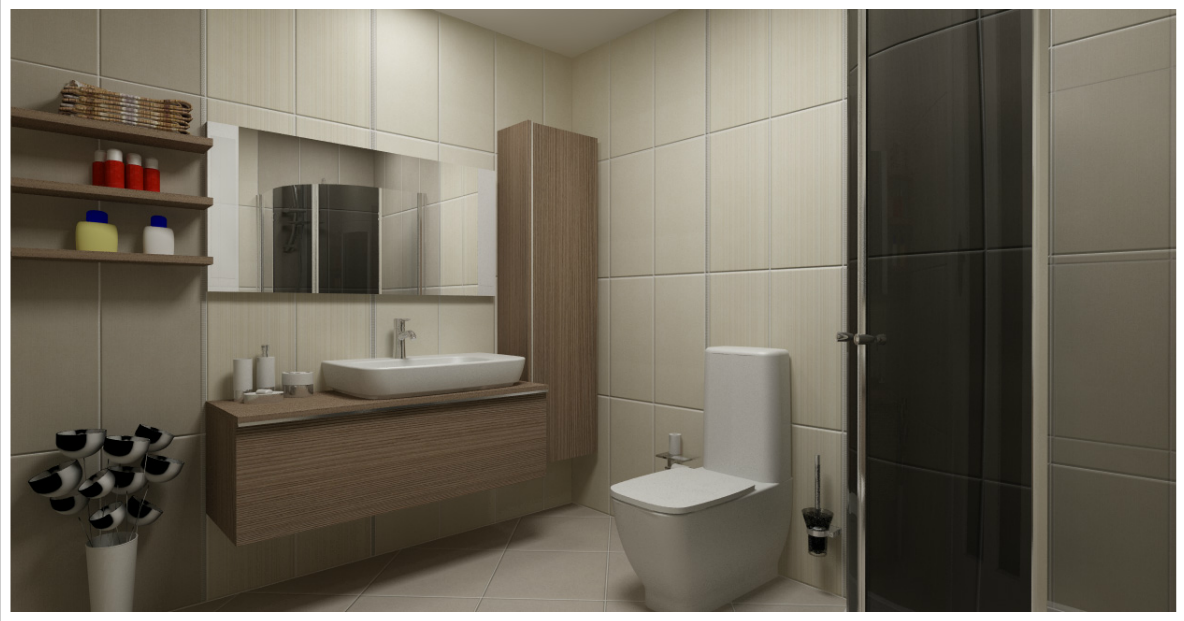 2013 Banyo Dekorasyonu BANYO MODELLERİ