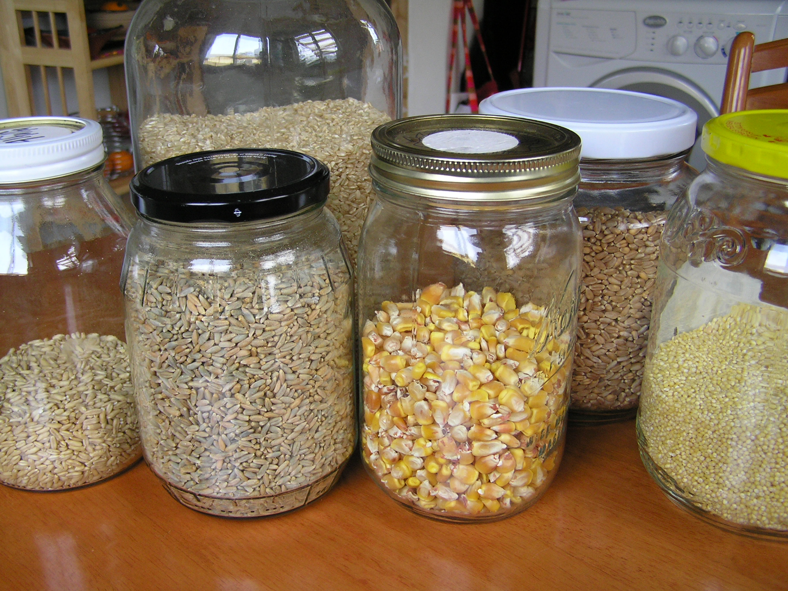 Grind Your Own Flours From Whole Grains A Life Unprocessed