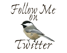 Follow Me On Twitter