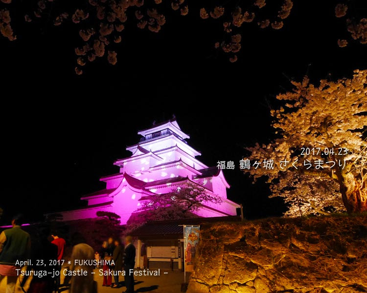 鶴ヶ城の桜がすごい！ (4) ライトアップ