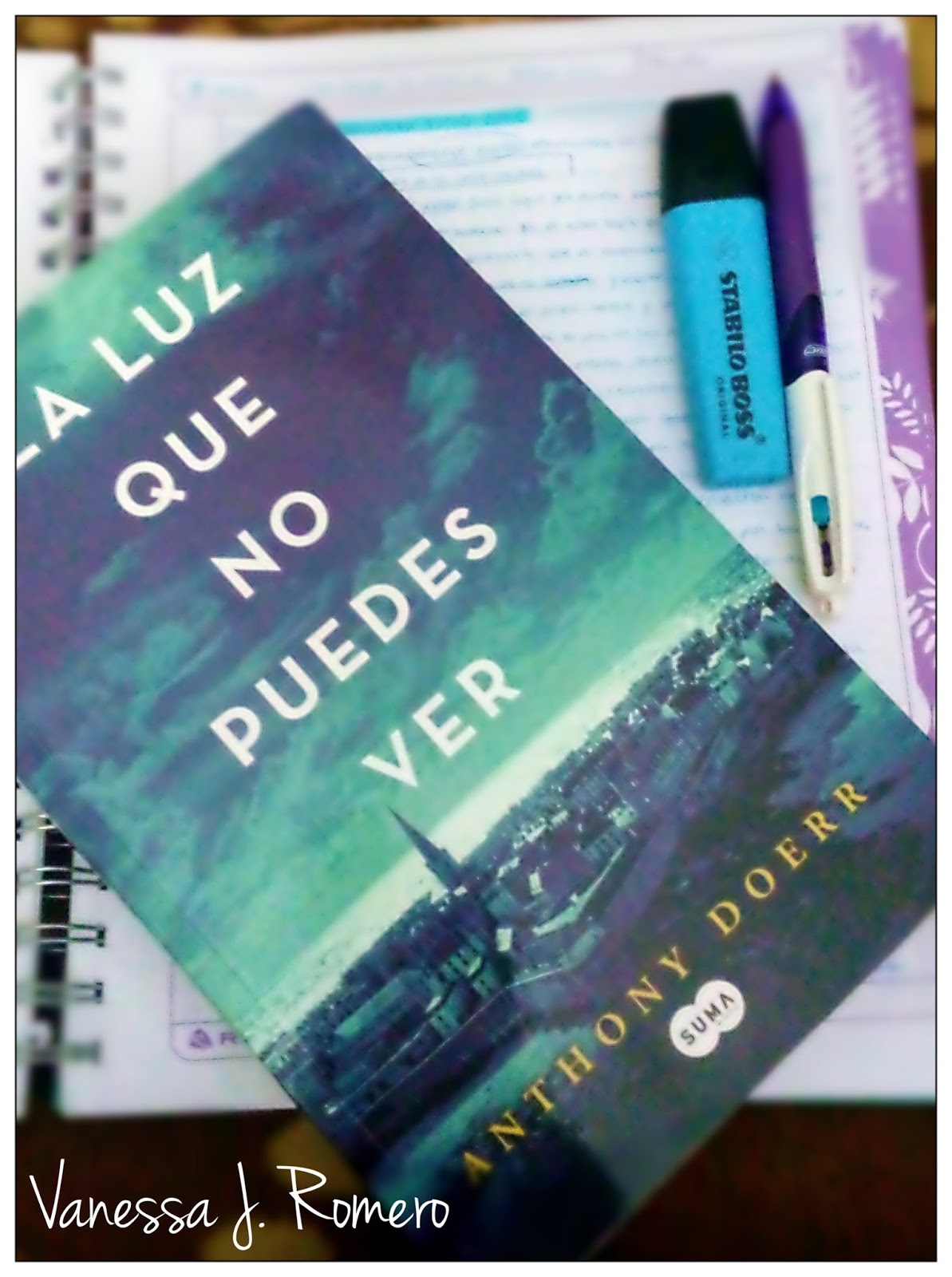  La luz que no puedes ver / All the Light We Cannot See (Spanish  Edition): 9788466343145: Doerr, Anthony: Libros