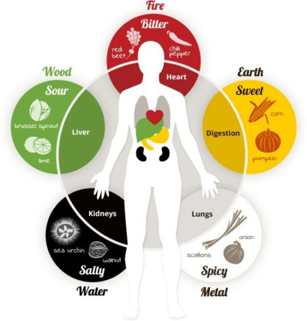 Exclusive Learn More About Your 5 Vital Organs Through TCM Natural