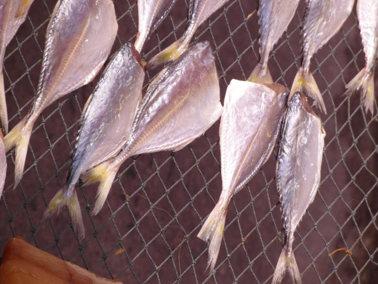 Kandungan Gizi Ikan Kembung Tak Kalah Dengan Ikan Salmon.