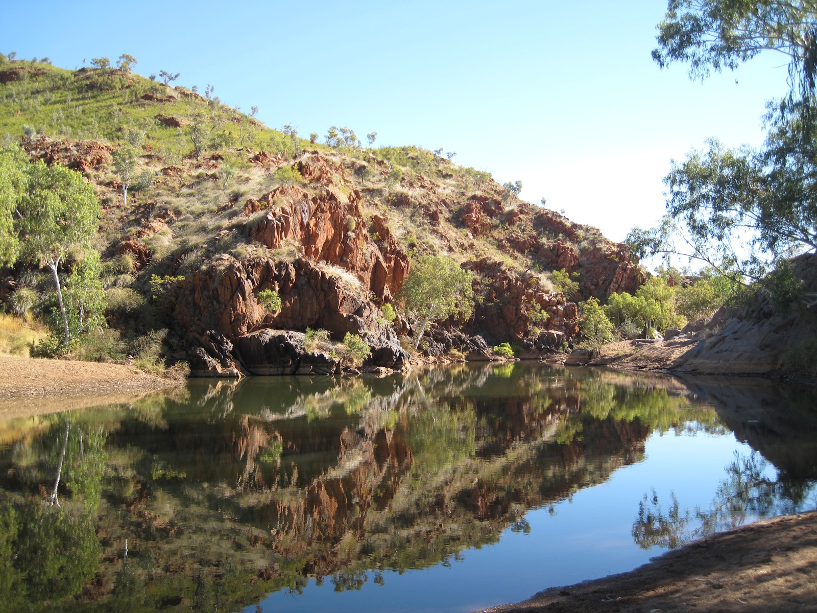 Peripatetic Shenanigans BUNGLE BUNGLES AND HALLS CREEK