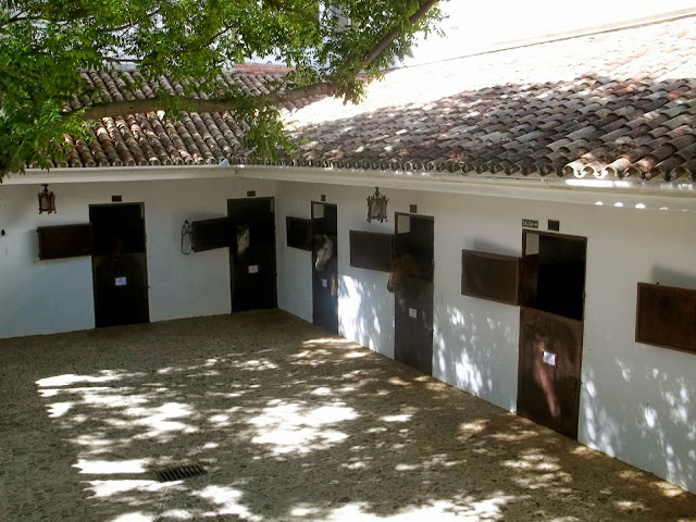 Horse stables at Ronda riding school on Semi-Charmed Kind of Life