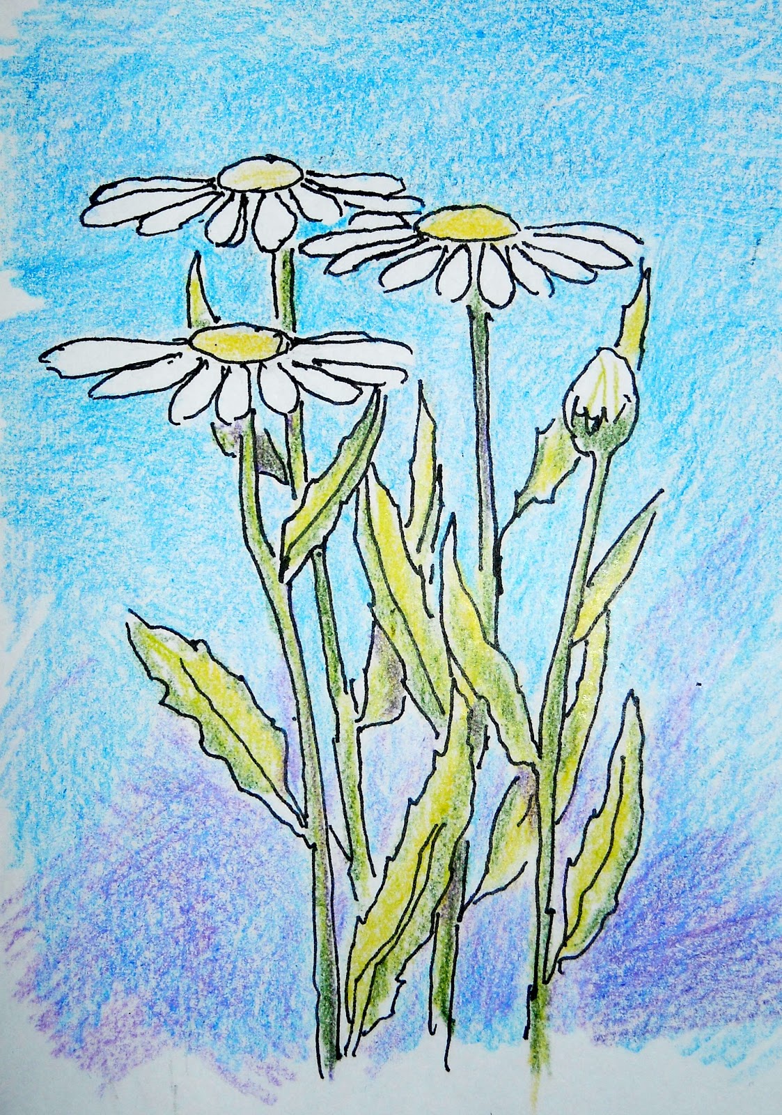 How to Draw Worksheets for The Young Artist How to Draw Daisies Lesson