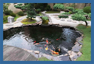 taman minimalis dengan kolam ikan,kolam minimalis,kolam di taman,taman minimalis kolam