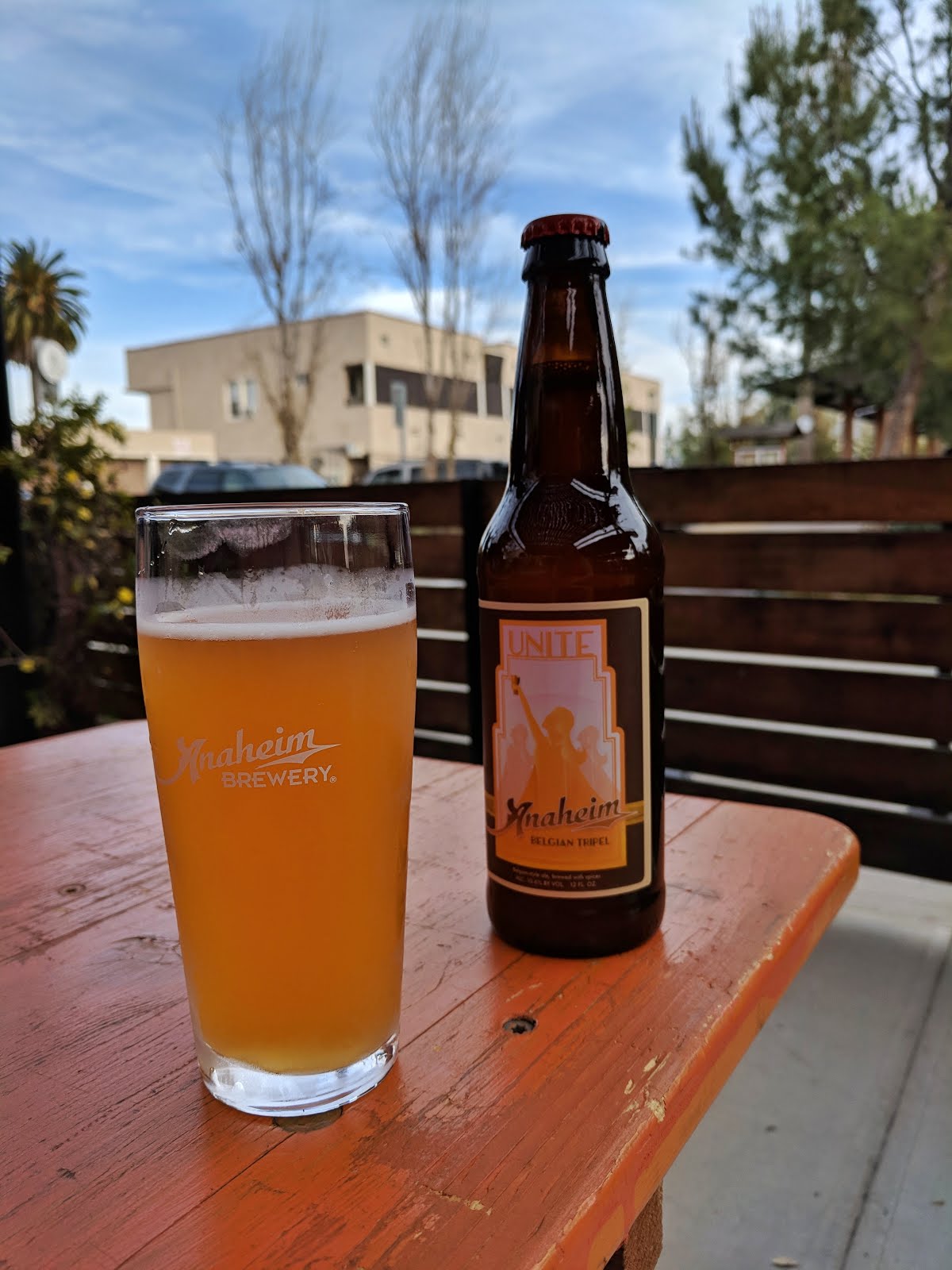 The Many Adventures of Epic Beer Girl OC Pink Boots Society Pink Boots