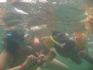 Playa Akumal - México, qué padre!! (4)