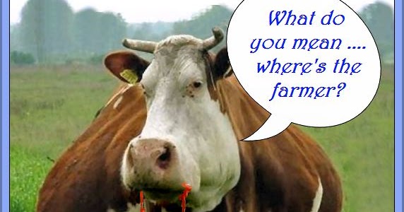 What Hunts Cows A Carnivore S Guide To Cattle Predation - om17wkj