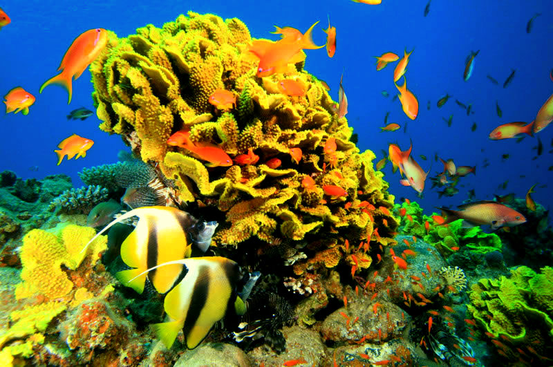Antalya Aquarium Opened ~ ANTALYA CITY BLOG