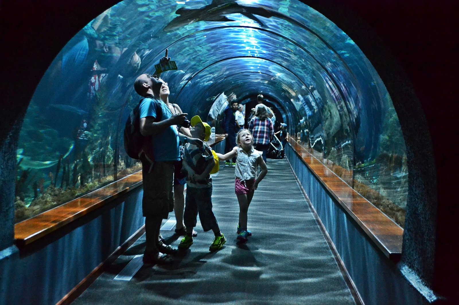 Aquarium "Poema del Mar" Las Palmas de Gran Canaria