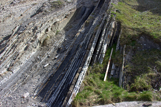 Flysch de la playa Itzurun de Zumaia