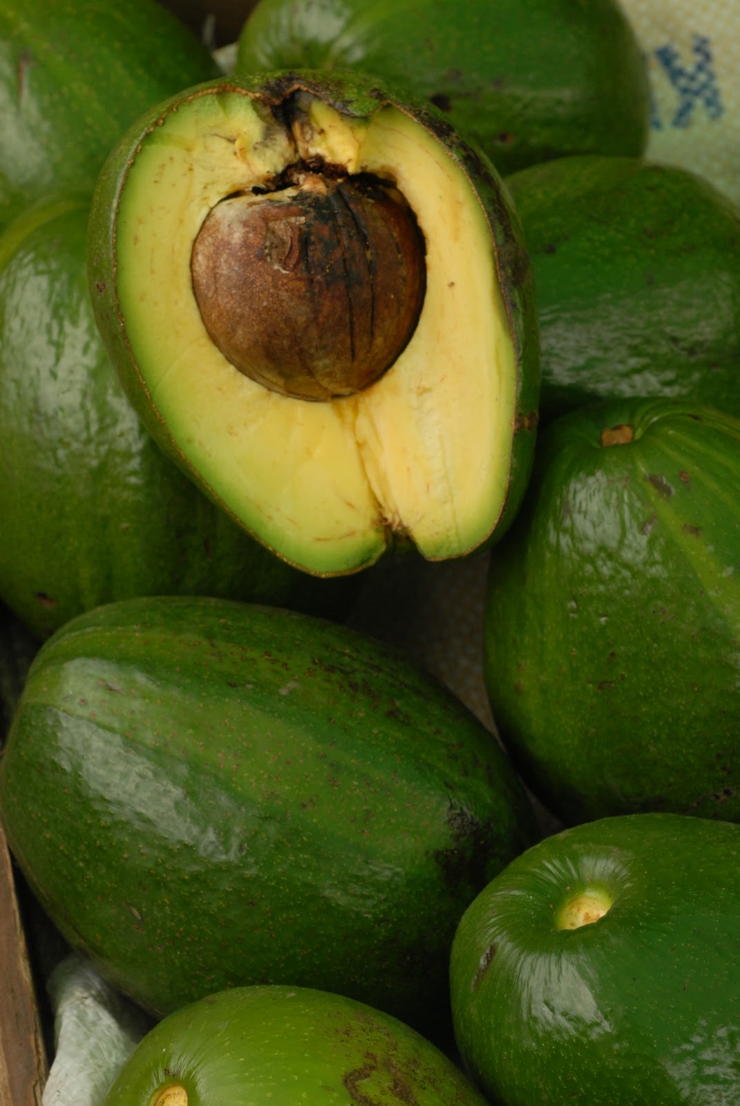 KANUTTO FUENTES PHOTOGRAPHY Quepos, Costa Rica Farmers Market