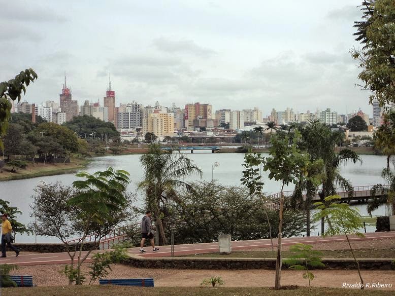 (((o))) ALDEIA MUNDUS NATURE AND ENVIRONMENT