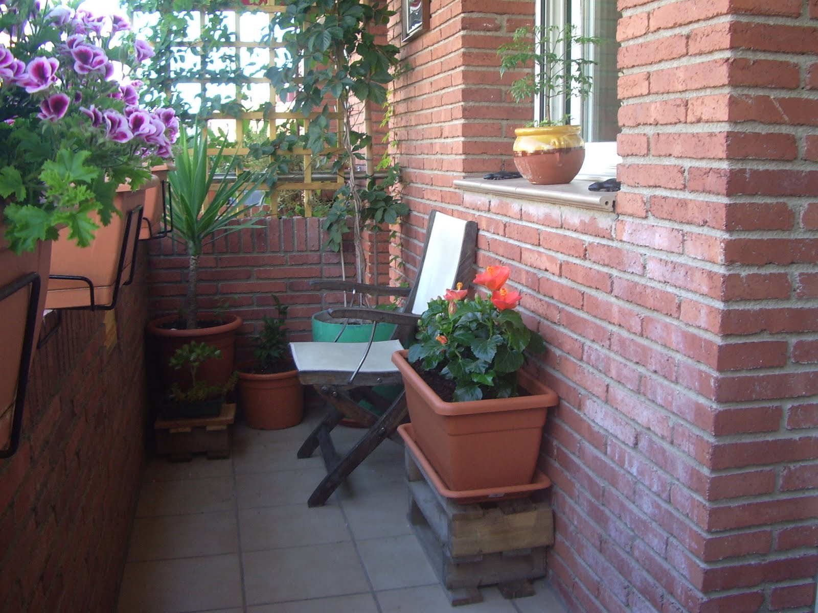 un jardin en macetas