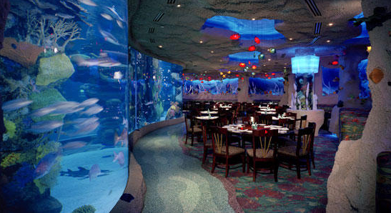 Aquarium Wedding Venues downtown aquarium denver aquarium coupons Aquarium Wedding Venues downtown aquarium denver aquarium coupons