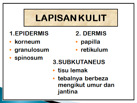 Perubatan Produk Muslim & Urutan Tradisional: BEKAM ANGIN  Perubatan Produk Muslim & Urutan Tradisional: BEKAM ANGIN