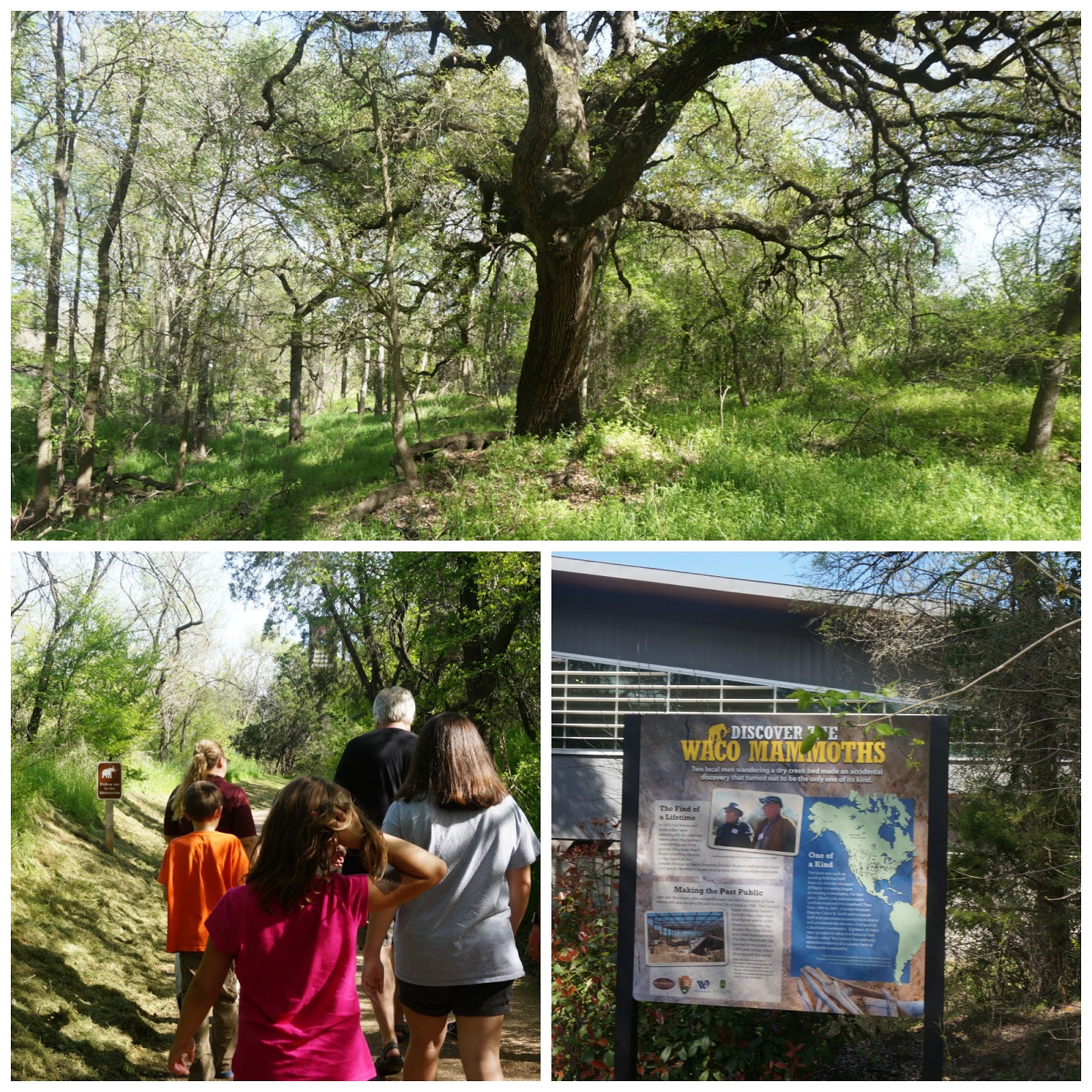 Waco Mammoth National Monument Waco, TX