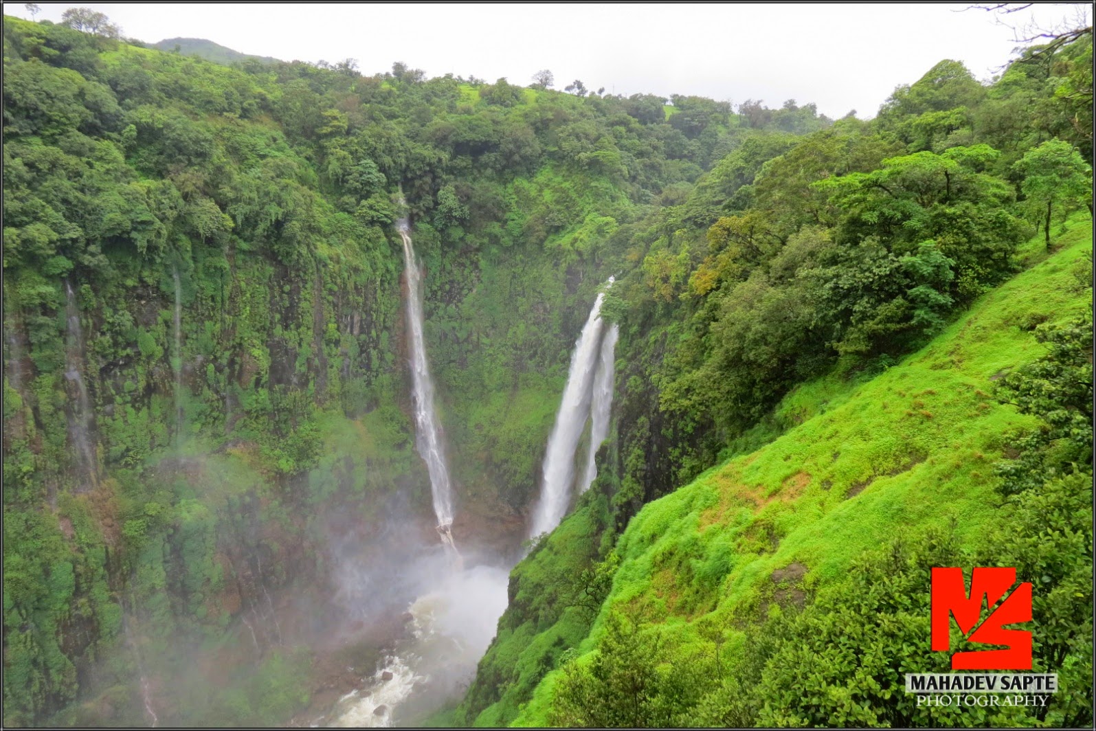 Satara Mahabaleshwar Pratapgad Thoseghar Kas Pathar & Sahyadri