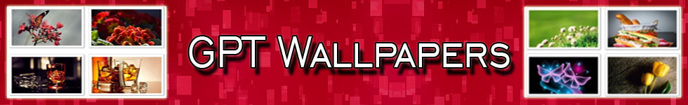 GPT Wallpapers