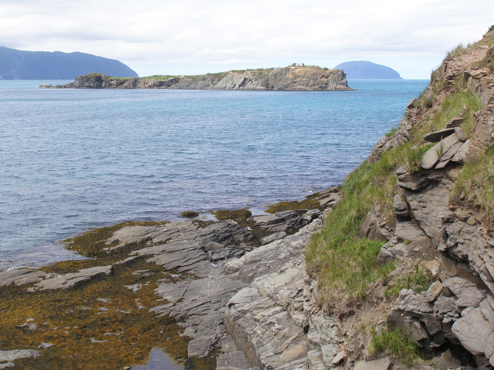 Northern Exposure 2012 Last Day at Woods Island, Bay of Islands