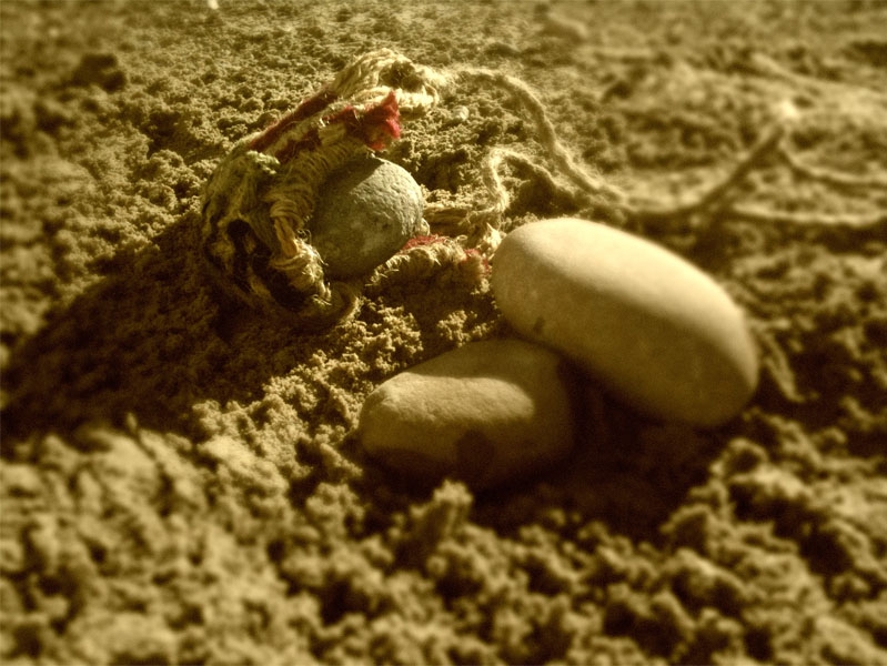 Tuesdays with Jesus My Friend David